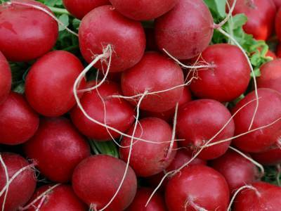 Эксперты назвали овощ, способный очистить кровь от «плохого» холестерина