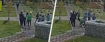 Житель Новосибирска ударил двух девочек по лицу, заступившись за сына