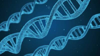 За что исследователи «генетических ножниц» получили Нобелевскую премию по химии