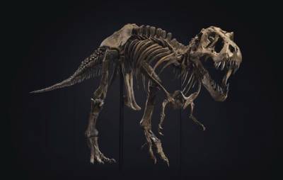 Скелет тираннозавра ушёл с аукциона за 32 миллиона долларов
