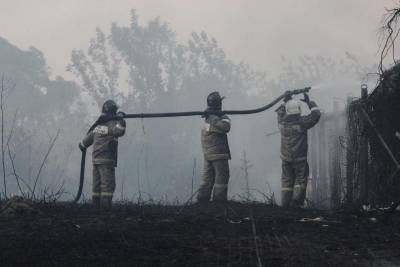 Четвёртый крупный ландшафтный пожар тушат в Воронежской области