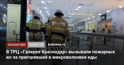 В ТРЦ «Галерея Краснодар» вызывали пожарных из-за пригоревшей в микроволновке еды