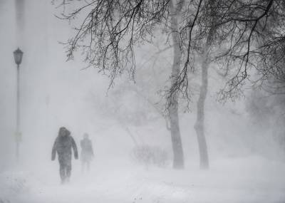 Россиян предупредили о стремительном наступлении климатической зимы