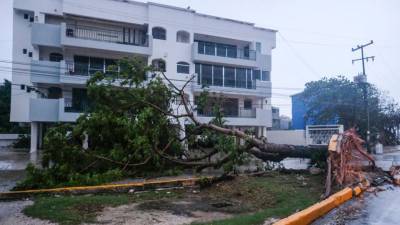 Ураган «Дельта» обрушился на полуостров Юкатан