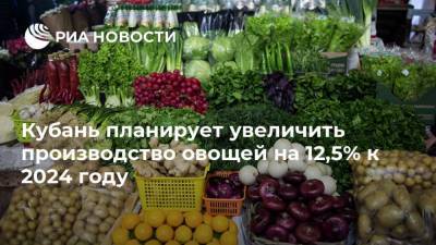 Кубань планирует увеличить производство овощей на 12,5% к 2024 году