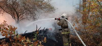 Пожарные отстояли жилые дома от огня в Хлевенском районе (видео)