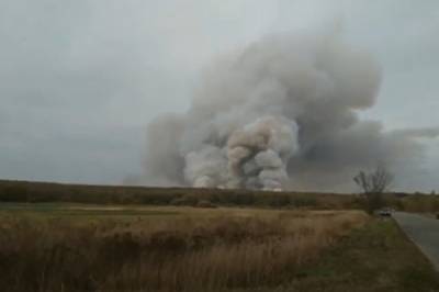 Депутат Госдумы усомнился в случайности пожара на военном складе под Рязанью