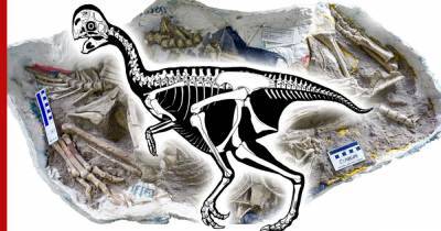 «Жуткая» находка в Монголии пролила свет на историю динозавров