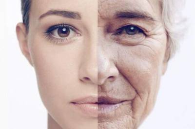 Препятствуют старению кожи: диетолог рассказала о полезных продуктах, которые необходимо есть каждый день