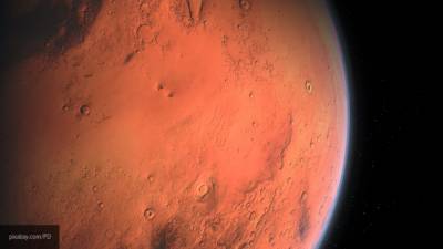 Космонавт заявил о пригодности Марса для жизни микроорганизмов