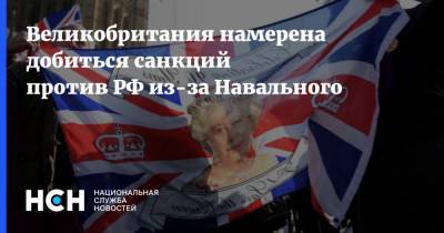 Великобритания намерена добиться санкций против РФ из-за Навального