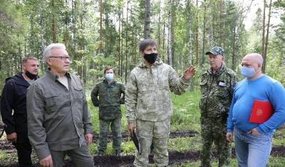 Красноярский край: лес воруют, губернатор в ус не дует