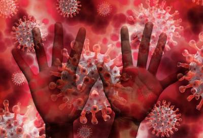 Учёные выяснили время активности коронавируса на коже