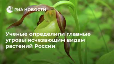 Ученые определили главные угрозы исчезающим видам растений России