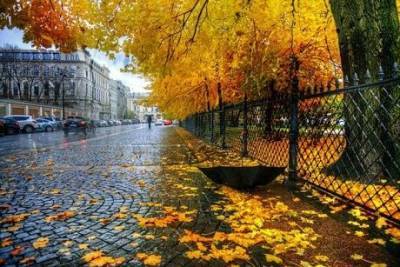Прогноз погоды в Украине на 8 октября (КАРТА)