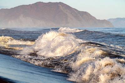 Ученые обнаружили пятно загрязнения у берегов Камчатки