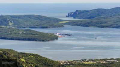 Токсинов у побережья Камчатки не нашли — губернатор Солодов
