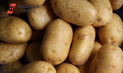 Многие допускают «вопиющую» ошибку при варке картофеля