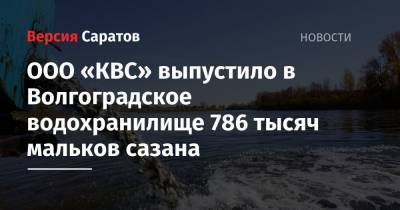 ООО «КВС» выпустило в Волгоградское водохранилище 786 тысяч мальков сазана
