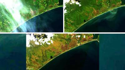 Ученые обнаружили у берегов Камчатки пятно загрязнения длиной в 40 км