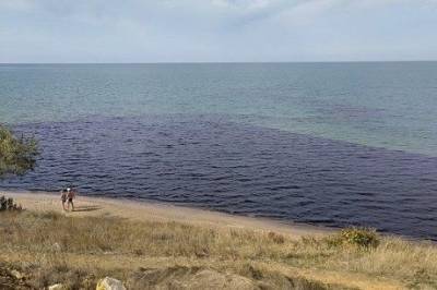 В аннексированном Крыму местный винзавод превращает воду в вино (ВИДЕО)