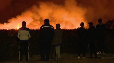 В Воронежской области потушили все крупные пожары