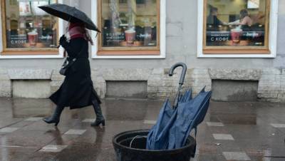 "Циклонический вихрь": в Петербурге пройдут небольшие дожди