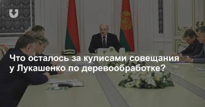 Что осталось за кулисами совещания у Лукашенко по деревообработке?