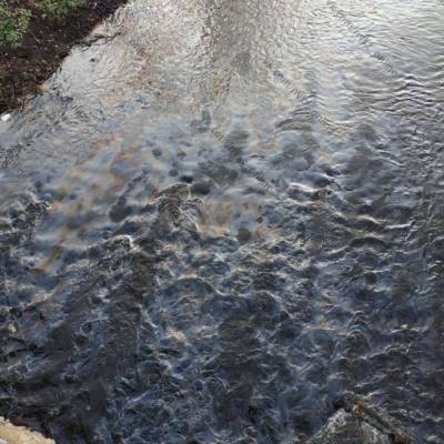 Экологи рассказали о результатах проверки состояния реки Аба в Новокузнецке