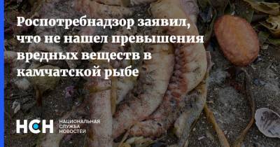 Роспотребнадзор заявил, что не нашел превышения вредных веществ в камчатской рыбе