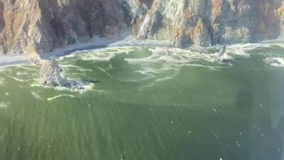 Росприроднадзор не нашел токсичных веществ в водах Камчатки