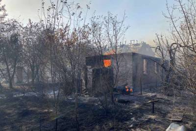 Пожары на Украине: деревья поджигают специально