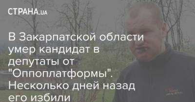 В Закарпатской области умер кандидат в депутаты от "Оппоплатформы". Несколько дней назад его избили