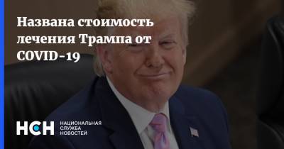 Названа стоимость лечения Трампа от COVID-19