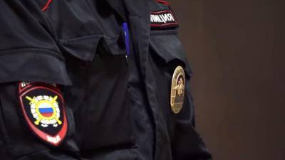 Полиция осмотрела два ТРЦ в Петербурге после ночных анонимок с угрозами