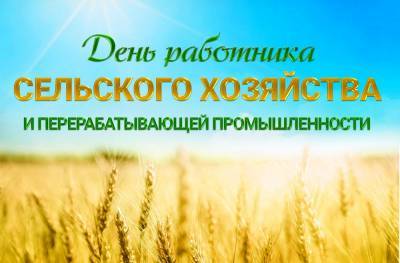 День работников сельского хозяйства (2020): дата. Когда отметят праздник?