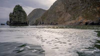 Полоса загрязнения у берегов Камчатки растянулась на 40 км