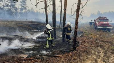 Спасатели потушили все пожары в Луганской области