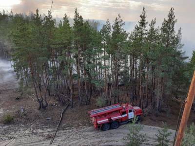 Спасатели ликвидировали все лесные пожары в Луганской области - gordonua.com - Украина - Луганская обл. - район Северодонецкий
