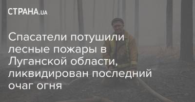 Спасатели потушили лесные пожары в Луганской области, ликвидирован последний очаг огня