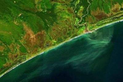 Исследователи обнаружили пятно загрязнения у берегов Камчатки