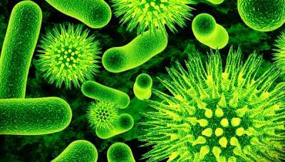 Супербактерии представляют не меньшую угрозу, чем COVID-19