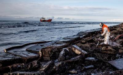 Роспотребнадзор не выявил превышения токсинов в выброшенных на берег Камчатки животных