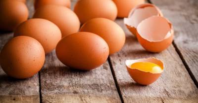 Ассоциация: латвийская полиция обнаружила грубые нарушения в работе украинского импотрера яиц
