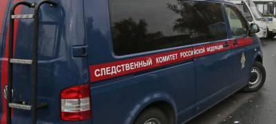 Следователи в Петрозаводске выясняют обстоятельства падения ребенка с 5-го этажа