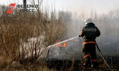 Новый премьер-министр Башкирии отменил особый противопожарный режим
