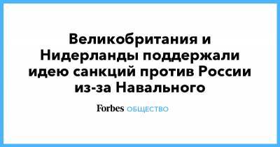 Великобритания и Нидерланды поддержали идею санкций против России из-за Навального