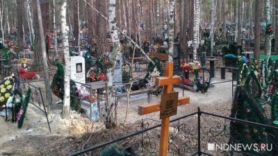 Обнадеживающе: Москва найдет, где похоронить
