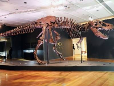 Скелет огромного тираннозавра продали на аукционе за 31,8 миллиона долларов