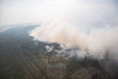 Масштабные пожары на Луганщине: спасатели потушили все очаги возгораний